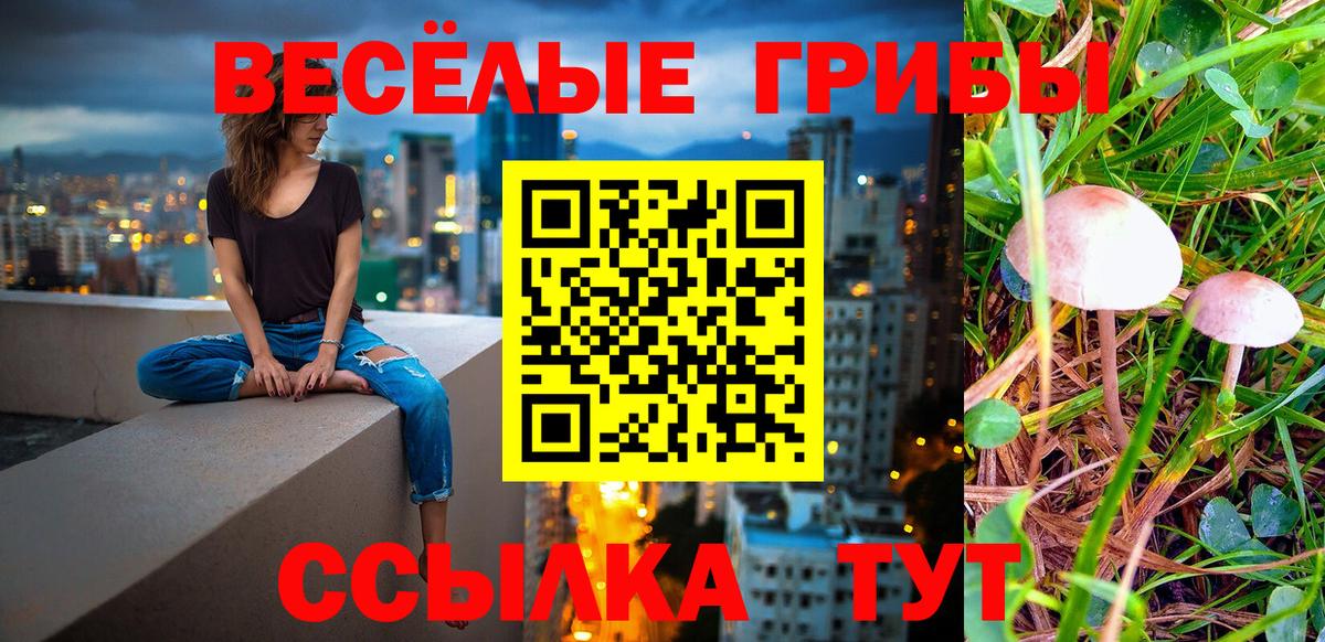 Галлюциногенные грибы MAGIC MUSHROOMS  Вход с VPN  Норильск 